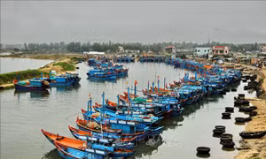 Ứng phó với bão số 7: Quảng Ngãi hướng dẫn cho hai tàu ở vùng nguy hiểm vào nơi an toàn