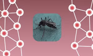 BioNTech phát triển vaccine ngừa sốt rét bằng công nghệ mRNA