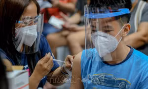 Chuyên gia cảnh báo thuốc điều trị COVID-19 không thể thay thế vaccine