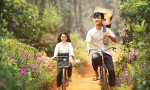 Chiếu 26 bộ phim trong Tuần phim chào mừng Liên hoan Phim Việt Nam lần thứ XXII