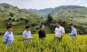 Chuyện về Bí thư Huyện ủy dành “Ngày cuối tuần cùng dân” ở Yên Bái (Bài 1)