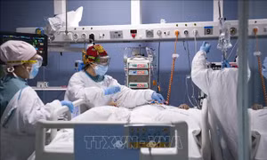 Tìm ra cơ chế giải thích mức độ mắc COVID-19 khác nhau