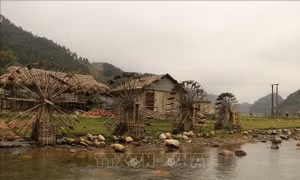 Xây dựng Mù Cang Chải thành điểm đến hàng đầu vùng Tây Bắc