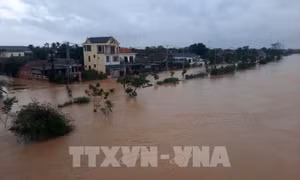 Công bố 10 sự kiện ngành tài nguyên và môi trường năm 2020