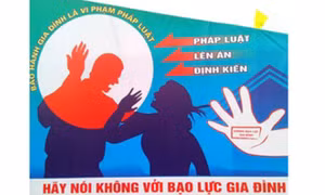 Tổ chức tuyên truyền về phòng, chống bạo lực gia đình trên phương tiện truyền thông đại chúng