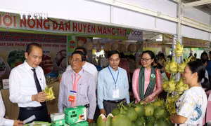 Khai mạc Hội chợ đặc sản vùng miền khu vực Đồng bằng sông Cửu Long – Vĩnh Long năm 2024