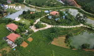 Triển khai Chương trình mục tiêu quốc gia phát triển kinh tế, xã hội vùng đồng bào dân tộc thiểu số và miền núi tại Phú Thọ (Bài 1)