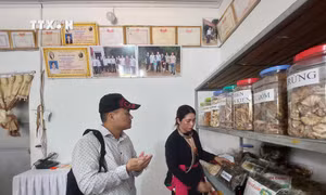 Công bố Điểm đến du lịch cộng đồng bản Miền của người Dao Quần chẹt