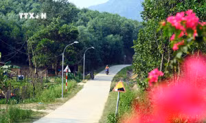 Cơ hội phát triển toàn diện vùng miền núi Quảng Bình (Bài cuối)