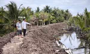 Cần đảm bảo quyền lợi người dân khi xây dựng bờ bao chống ngập