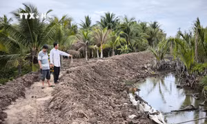 Cần đảm bảo quyền lợi người dân khi xây dựng bờ bao chống ngập