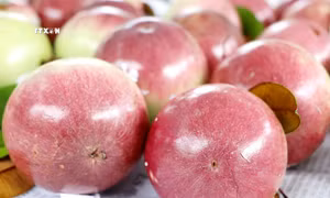 Vào hợp tác xã để... làm giàu