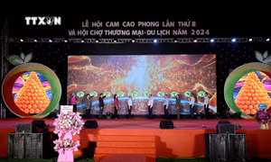 Khai mạc Lễ hội cam Cao Phong và Hội chợ Thương mại - Du lịch tỉnh Hòa Bình 
