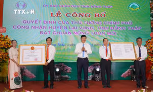 “Thủ phủ” quýt hồng của Đồng Tháp đạt chuẩn huyện nông thôn mới