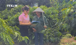 Chương trình mục tiêu quốc gia thay đổi diện mạo vùng dân tộc thiểu số tỉnh Gia Lai