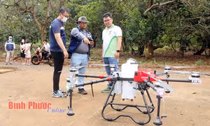 Gương mặt trẻ Việt Nam tiêu biểu năm 2023: Đặng Dương Minh Hoàng vươn lên từ nông nghiệp số