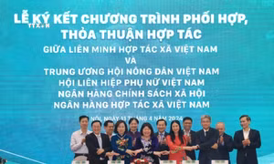 Phó Thủ tướng Lê Minh Khái: Thúc đẩy liên kết, phát triển bền vững chuỗi giá trị sản phẩm