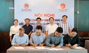 Đắk Lắk và Tuyên Quang kết nối tiêu thụ hàng hoá