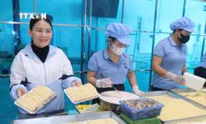 Đa dạng sản phẩm OCOP phục vụ mùa du lịch biển Cửa Lò