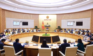 Thủ tướng Phạm Minh Chính chủ trì Phiên họp Chính phủ thường kỳ tháng 11/2024