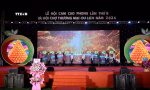 Khai mạc Lễ hội cam Cao Phong và Hội chợ Thương mại - Du lịch tỉnh Hòa Bình 