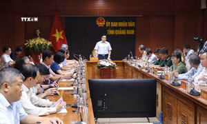 Triển khai khẩn cấp các phương án phòng chống bão Trà Mi
