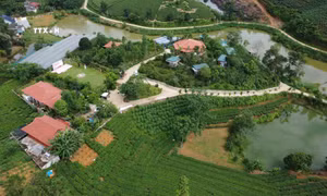 Triển khai Chương trình mục tiêu quốc gia phát triển kinh tế, xã hội vùng đồng bào dân tộc thiểu số và miền núi tại Phú Thọ (Bài 1)