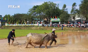 Gìn giữ lễ hội văn hóa Tây Bắc trên quê hương Lâm Đồng