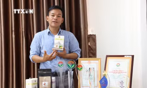 Khát vọng nâng tầm thương hiệu cà phê Ê Đê của anh Y Pôt Niê