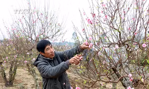 Nhộn nhịp làng nghề Phù Liễn