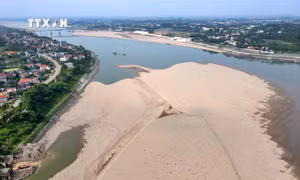 Sông Đà cạn nước kỷ lục, ảnh hưởng nghiêm trọng đến đời sống người dân vùng hạ lưu. Ảnh: TTXVN