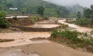 Khẩn trương lập phương án khắc phục hậu quả do mưa lũ tại huyện Điện Biên Đông