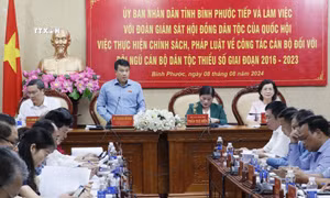 Đoàn giám sát của Hội đồng Dân tộc làm việc tại tỉnh Bình Phước