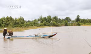 Sóc Trăng phát triển thủy sản nước ngọt, phát huy lợi thế vùng trũng