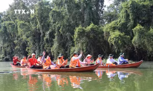 Đầu tư, khai thác tiềm năng du lịch sinh thái vùng Đồng Tháp Mười