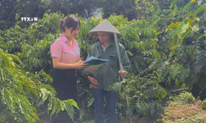 Chương trình mục tiêu quốc gia thay đổi diện mạo vùng dân tộc thiểu số tỉnh Gia Lai