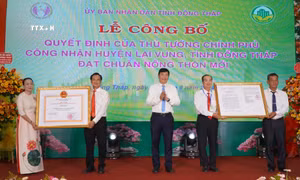 “Thủ phủ” quýt hồng của Đồng Tháp đạt chuẩn huyện nông thôn mới
