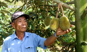 Trở thành tỷ phú nông dân nhờ dám nghĩ, dám làm