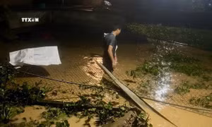 Yên Bái: Mưa lớn kéo dài gây ngập úng nhiều nơi ở xã Cát Thịnh