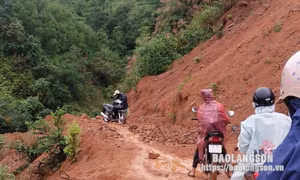 Mưa lớn kèm gió lốc gây nhiều thiệt hại tại Lạng Sơn
