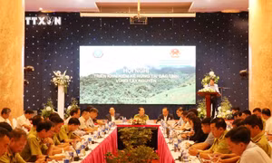 Tổ chức kiểm kê rừng khu vực Tây Nguyên