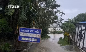 Thấp thỏm nỗi lo sạt lở bên bờ sông Ngàn Mọ