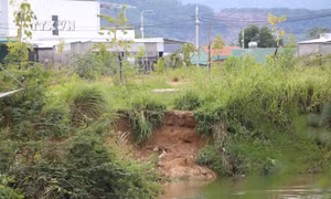 Quảng Ngãi: Sạt lở bờ sông Phước Giang, người dân lo lắng