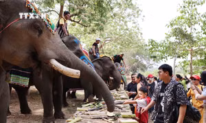 Nhân dân và du khách hào hứng hưởng ứng hoạt động mừng ngày Chiến thắng Buôn Ma Thuột