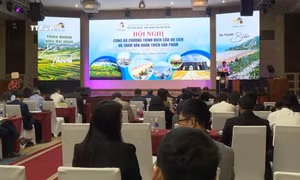 Du lịch Thanh Hóa - Hương sắc bốn mùa