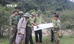 Nghệ An: Chủ động "canh rừng, gác lửa" bảo vệ Khu dự trữ sinh quyển