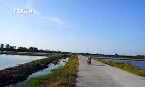 Đường giao thông nông thôn giúp việc đi lại, giao thương mua bán của người dân được thuận tiện, dễ dàng. Ảnh: Văn Sĩ - TTXVN
