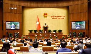 Thông cáo báo chí số 07, Kỳ họp thứ 8, Quốc hội khóa XV