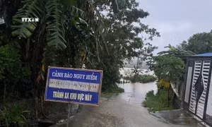 Thấp thỏm nỗi lo sạt lở bên bờ sông Ngàn Mọ