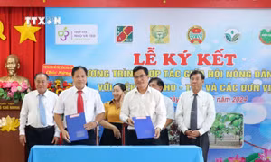 Ký kết các chương trình hợp tác phát triển nho, táo Ninh Thuận